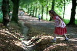 _MG_9382p