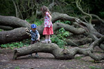 _MG_9429p