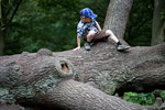 _MG_9433p
