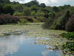 IMG_3063p