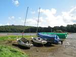 IMG_3078p