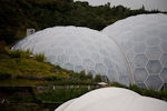 _MG_9941p