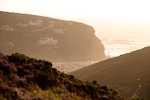 _MG_9972p