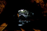 _MG_9596p