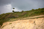 _MG_9755p