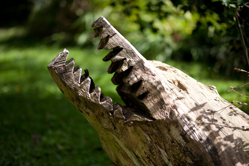 _MG_0114p