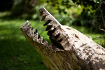 _MG_0114p