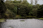 _MG_0154p
