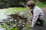 _MG_0163p