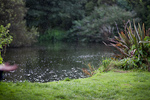 _MG_0213p