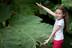 _MG_9626p