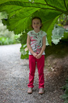 _MG_9628p