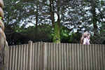 _MG_9633p