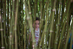 _MG_9654p