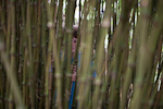_MG_9657p