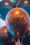 _MG_0588p