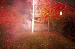 _MG_1016p