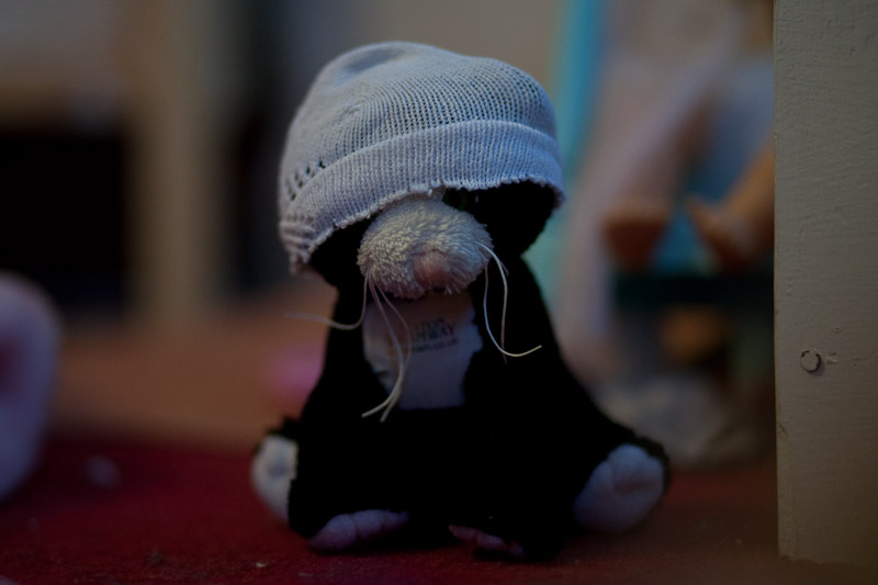 _MG_1116p