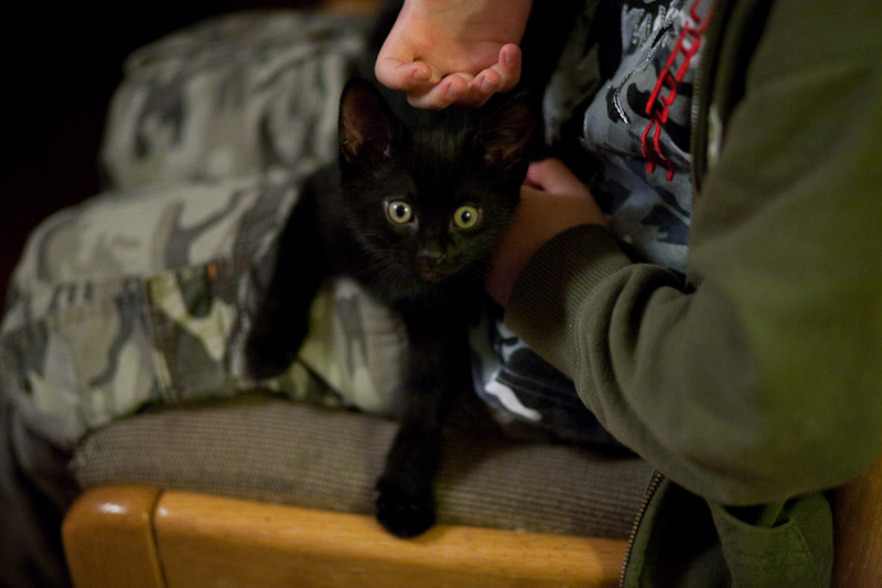 _MG_1156p