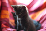 _MG_1069p