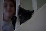 _MG_1076p