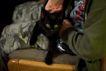 _MG_1156p