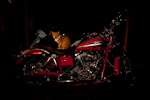 _MG_2047p