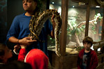 _MG_1935p