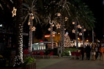 _MG_1484p