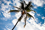 _MG_1642p