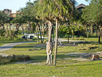 P1000436p