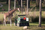 _MG_3639p