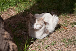 _MG_4786p