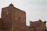 _MG_4246p