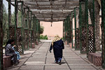 _MG_4297p
