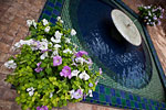 _MG_4488p
