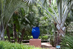 _MG_4515p