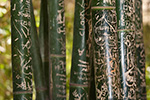 _MG_4673p