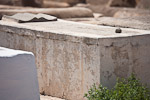 _MG_4815p