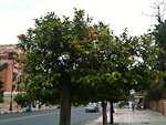 MP_IMG_0030p