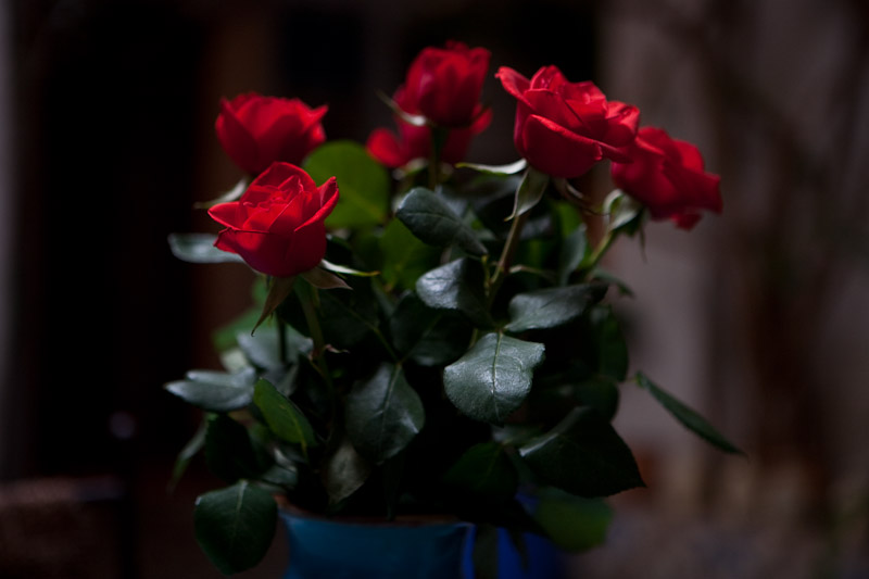 _MG_4436p