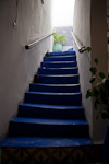 _MG_4434p