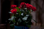 _MG_4436p