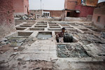 _MG_4454p