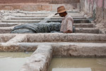 The tanneries