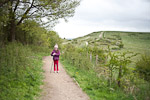 _MG_5196p