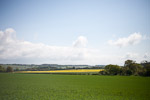 _MG_5204p