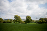 _MG_5209p