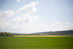 _MG_5212p