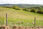 _MG_5216p